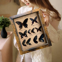 Vintage Wood-Look Deep Shadow Box Picture Frame with Acrylic Front