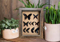 Vintage Wood-Look Deep Shadow Box Picture Frame with Acrylic Front