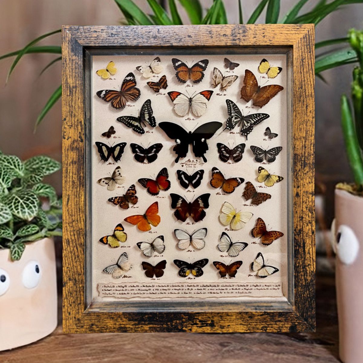Vintage Wood-Look Deep Shadow Box Picture Frame with Acrylic Front